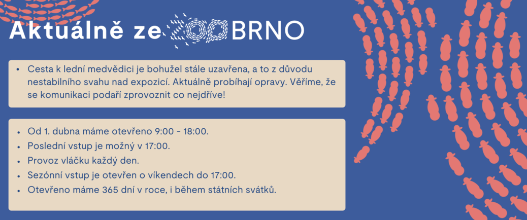       Aktuálně ze Zoo Brno
